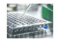 ELISA  AKAP8 anti-