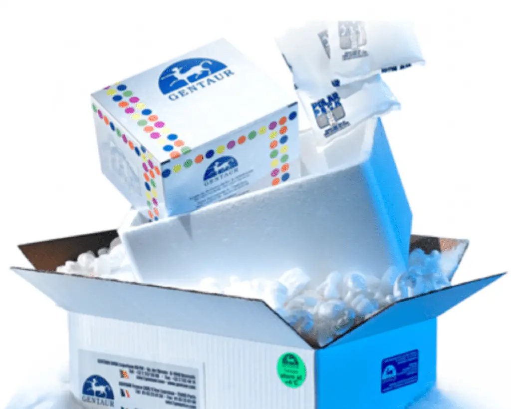 Anti-guinea pig IgG goat polyclonal, HRP conjugate - 100 ug