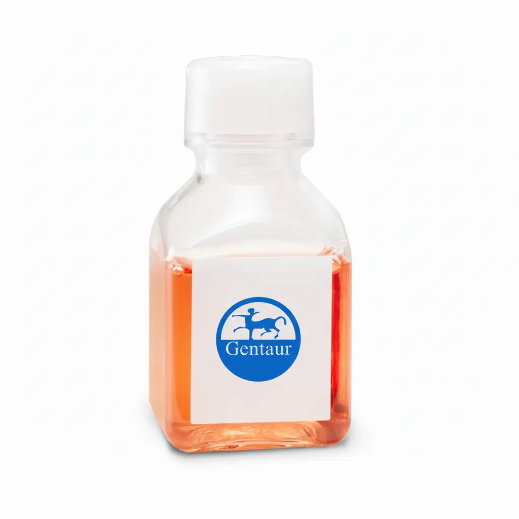 Anti-mGluR6 Rabbit antibody - 100 µL