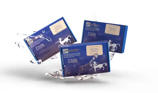 ELISA Kit for Leptin (LEP) - 96 Tests