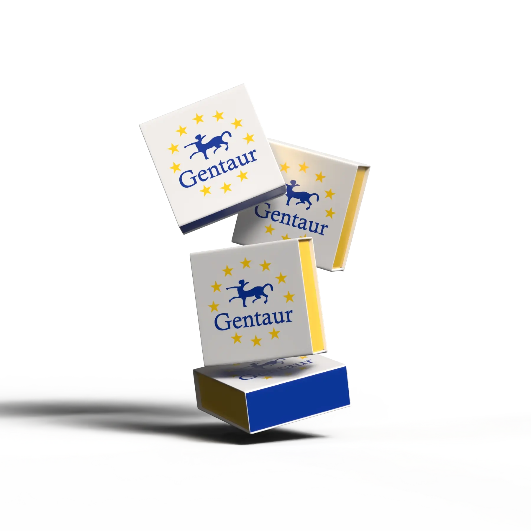[NAS02A] Dualplex Nucleic Acid Lateral Flow Strip